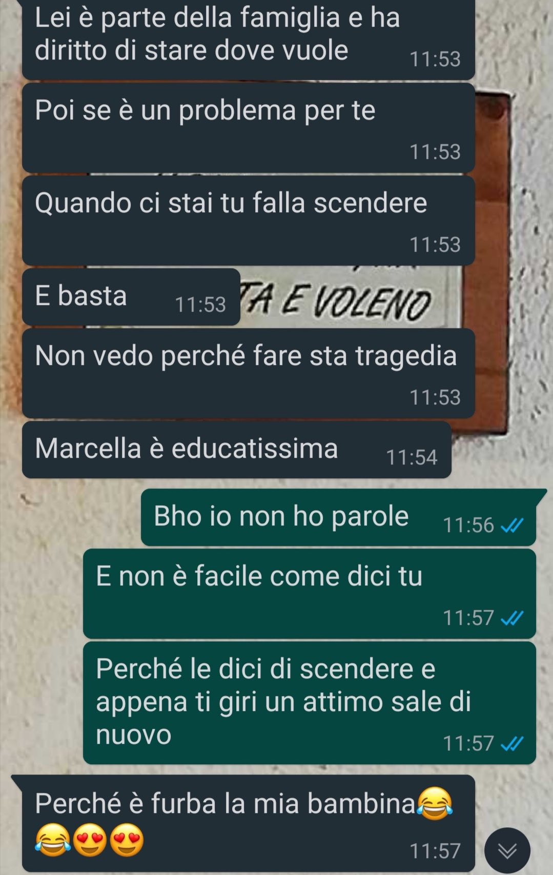 Una gatta speciale