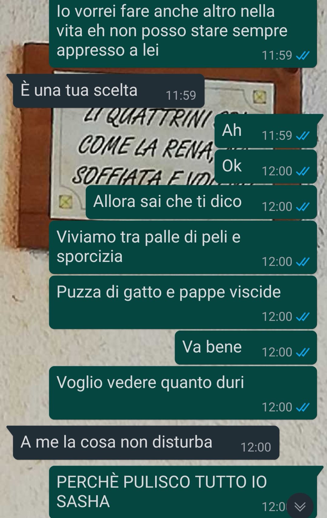 Una gatta speciale