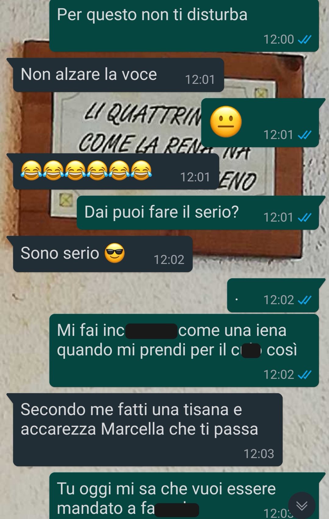 Una gatta speciale