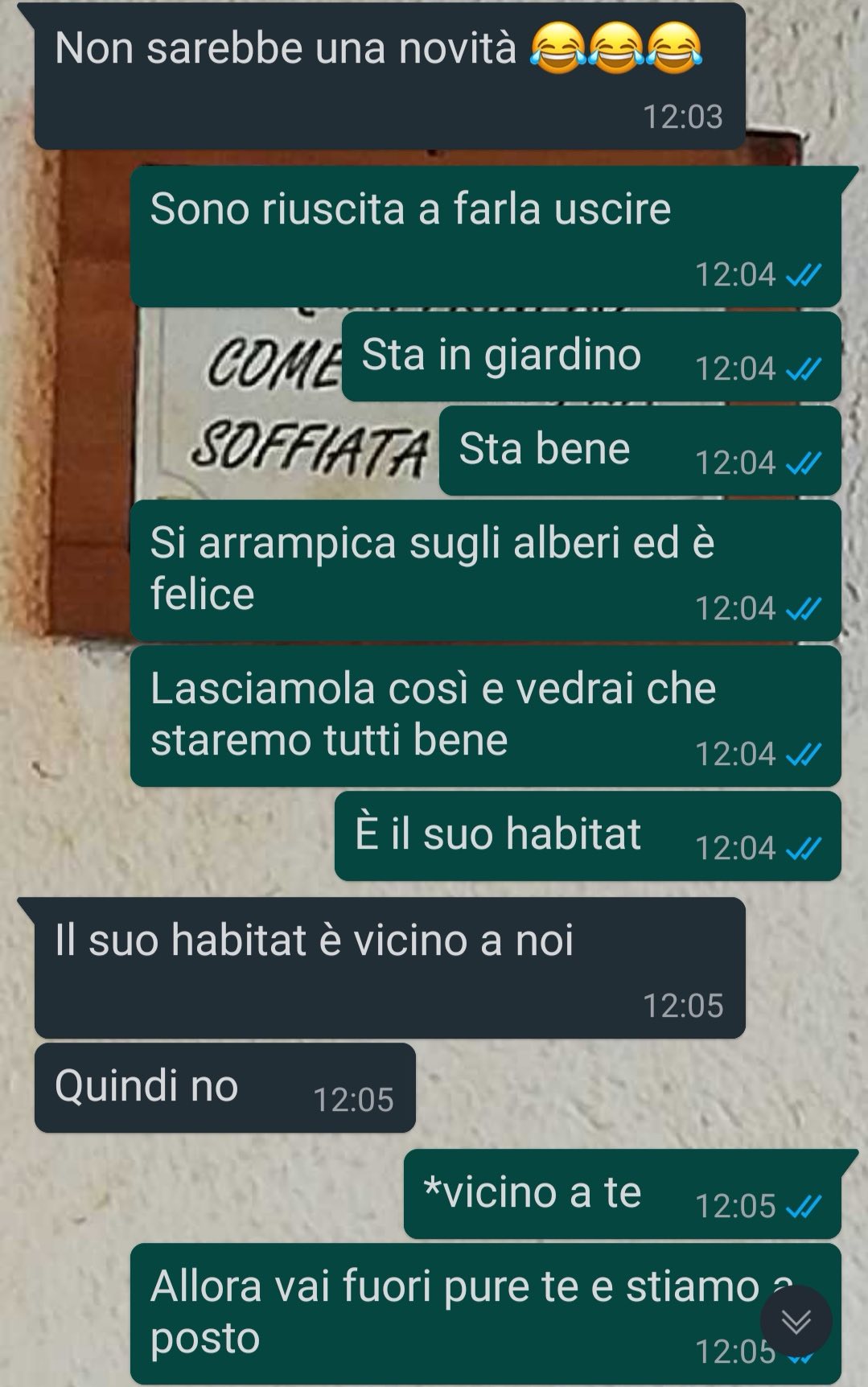 Una gatta speciale