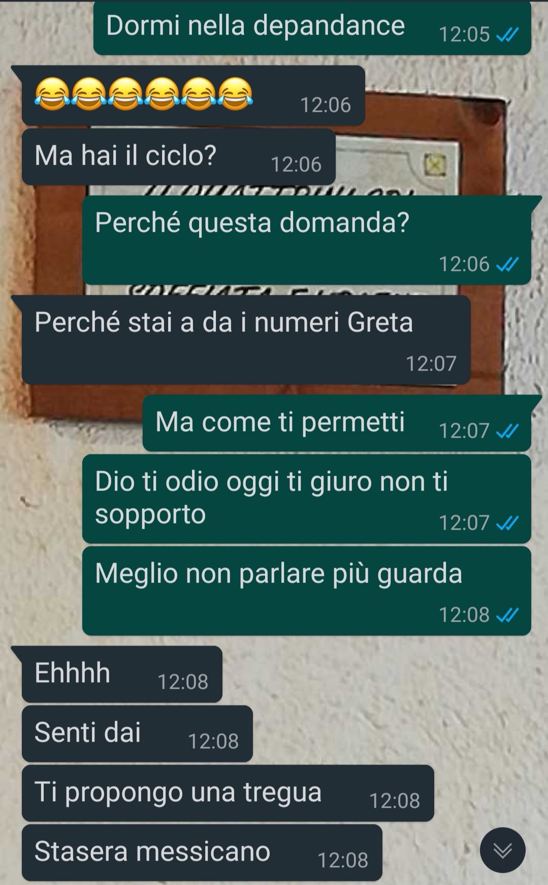 Una gatta speciale