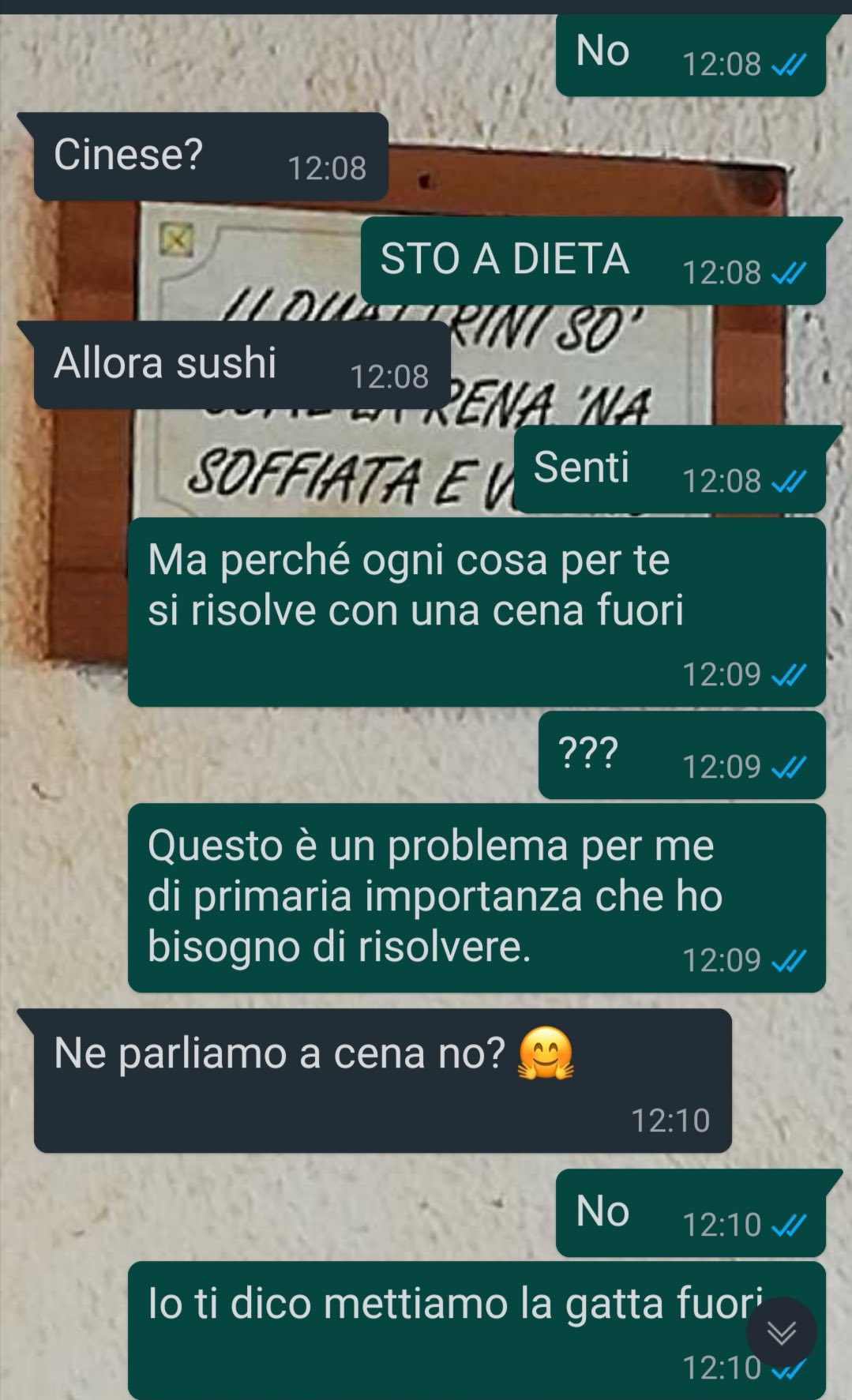 Una gatta speciale