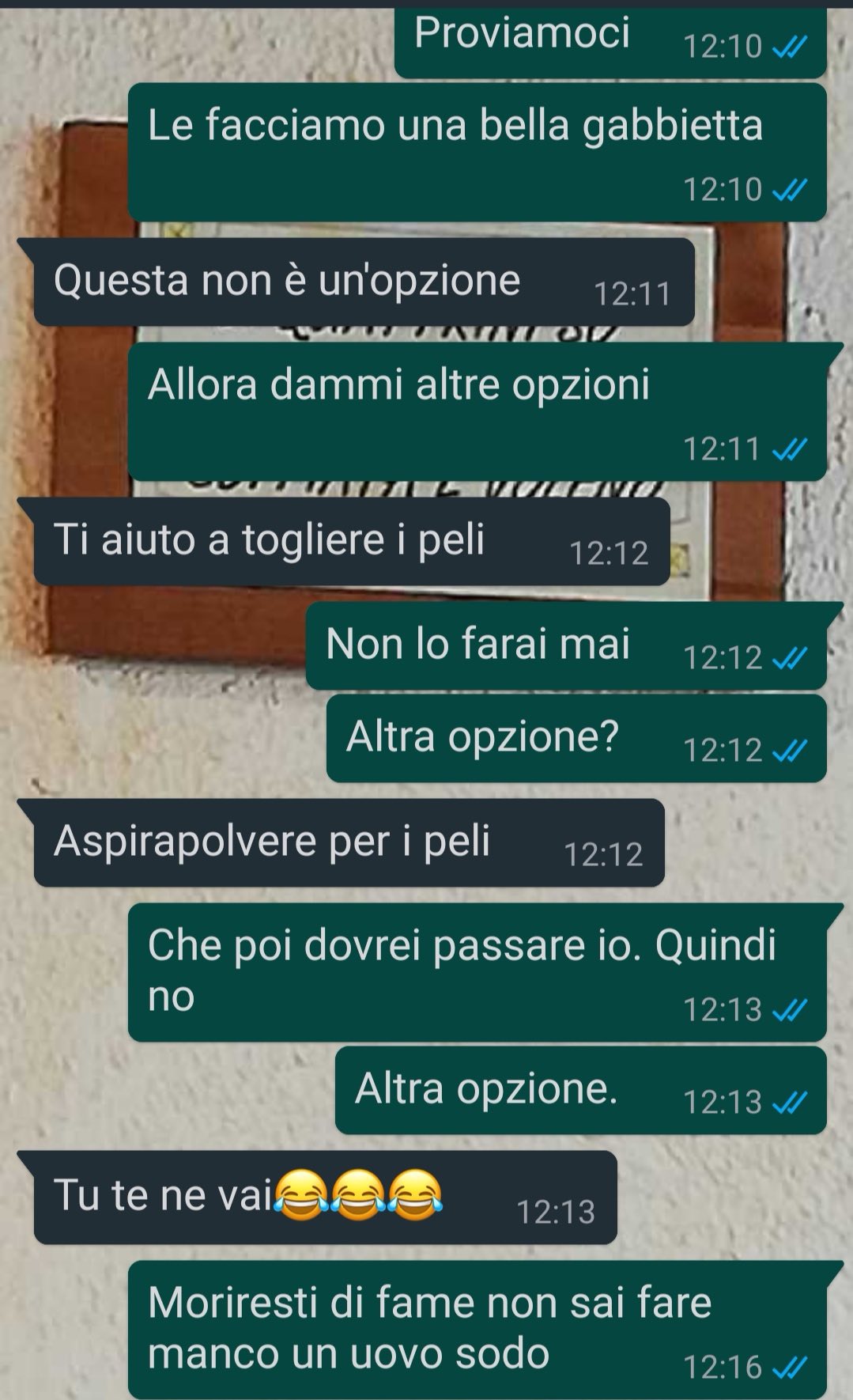 Una gatta speciale