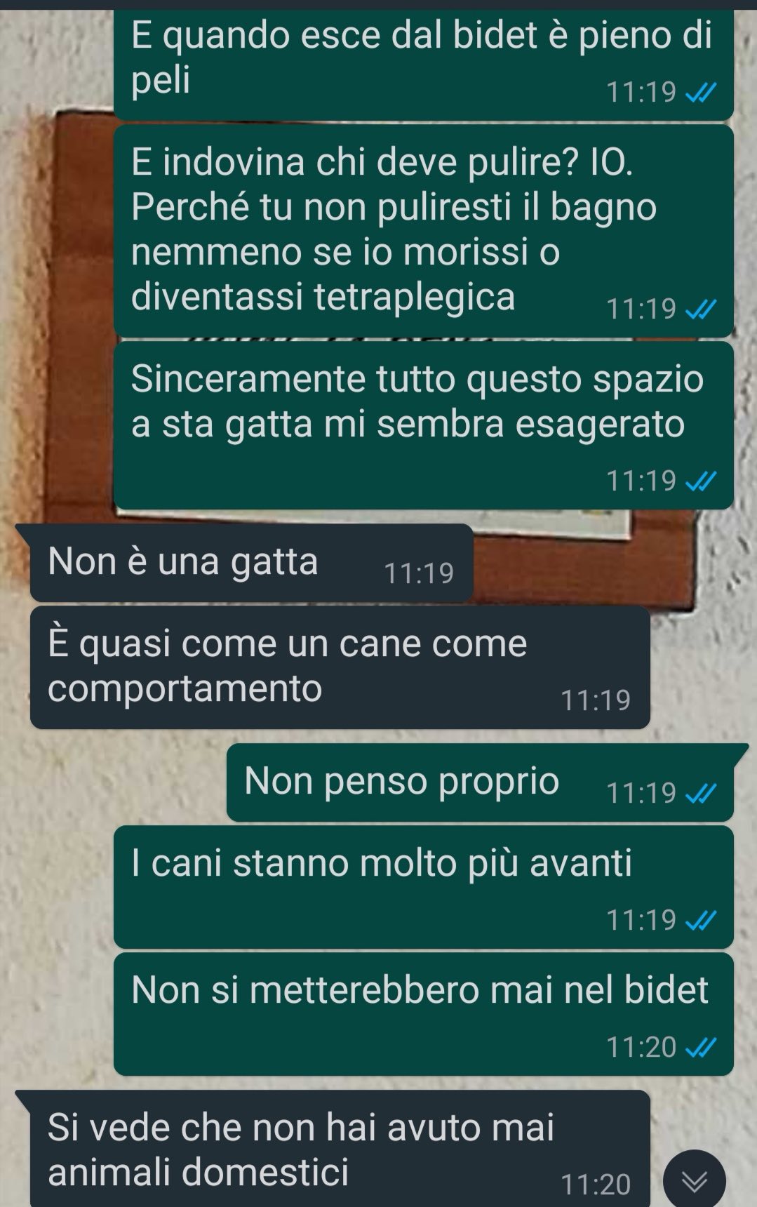 Una gatta speciale