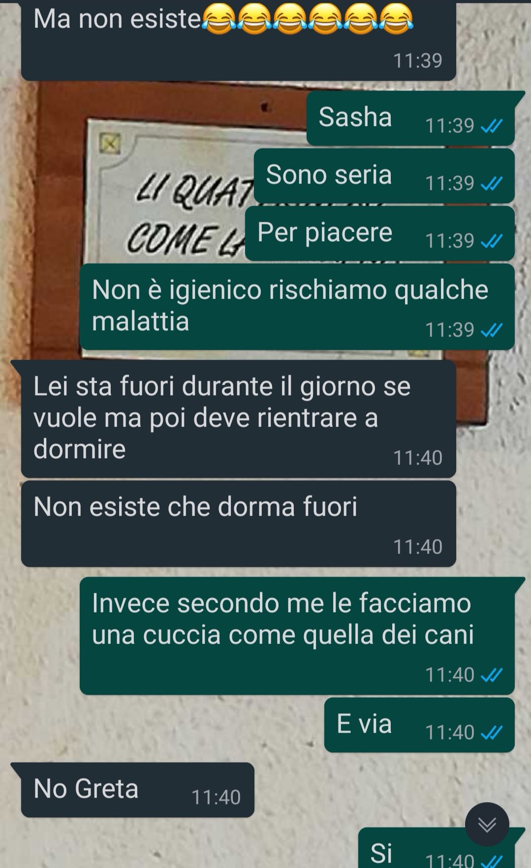 Una gatta speciale