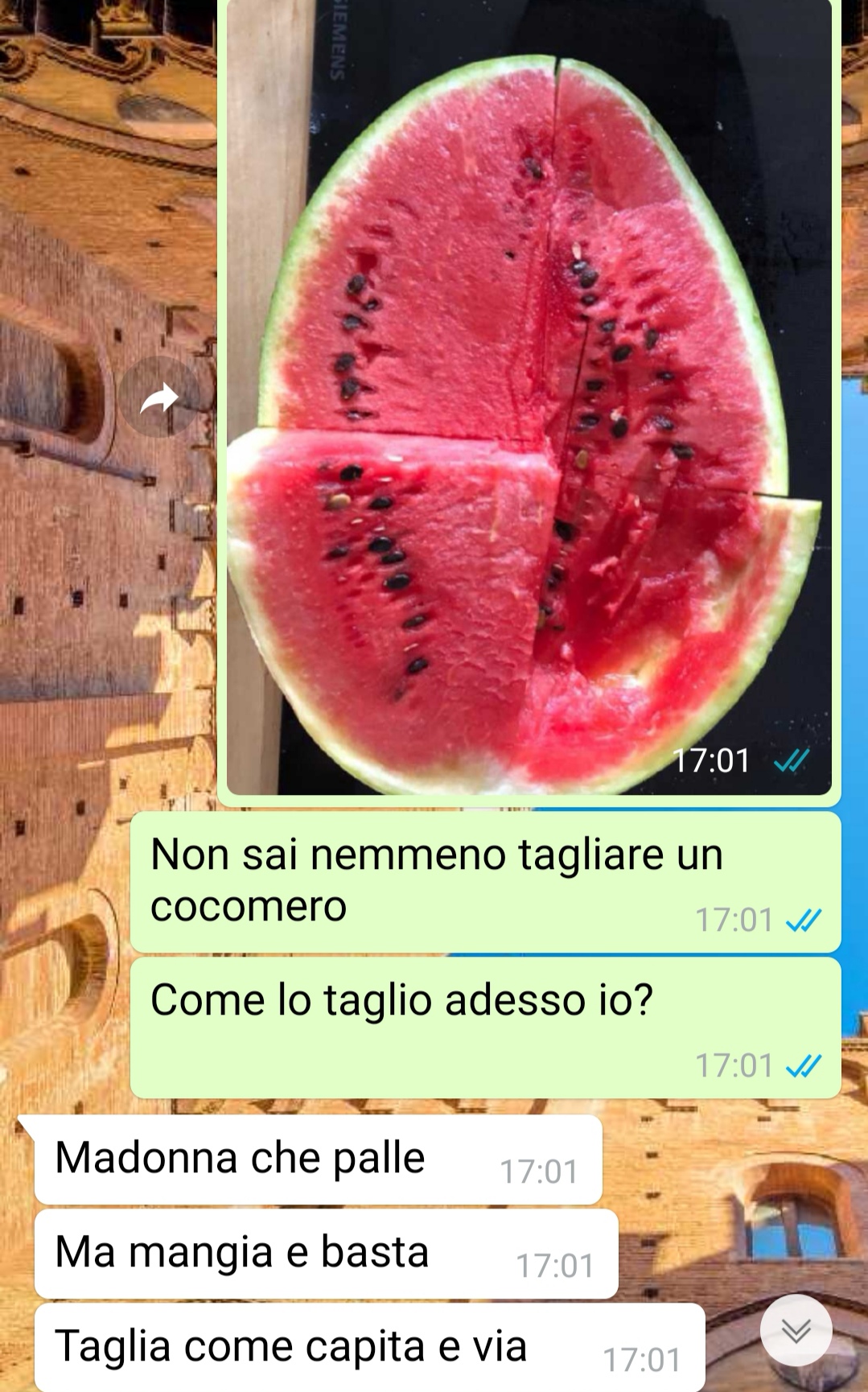 Una ragazza distratta