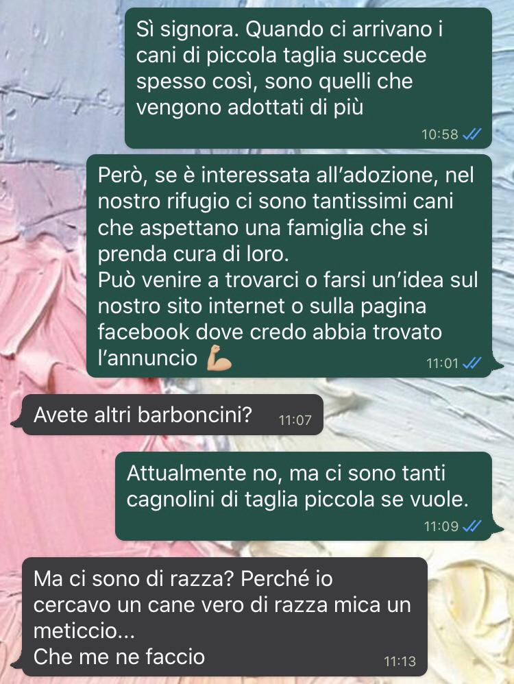 Richiesta d'adozione