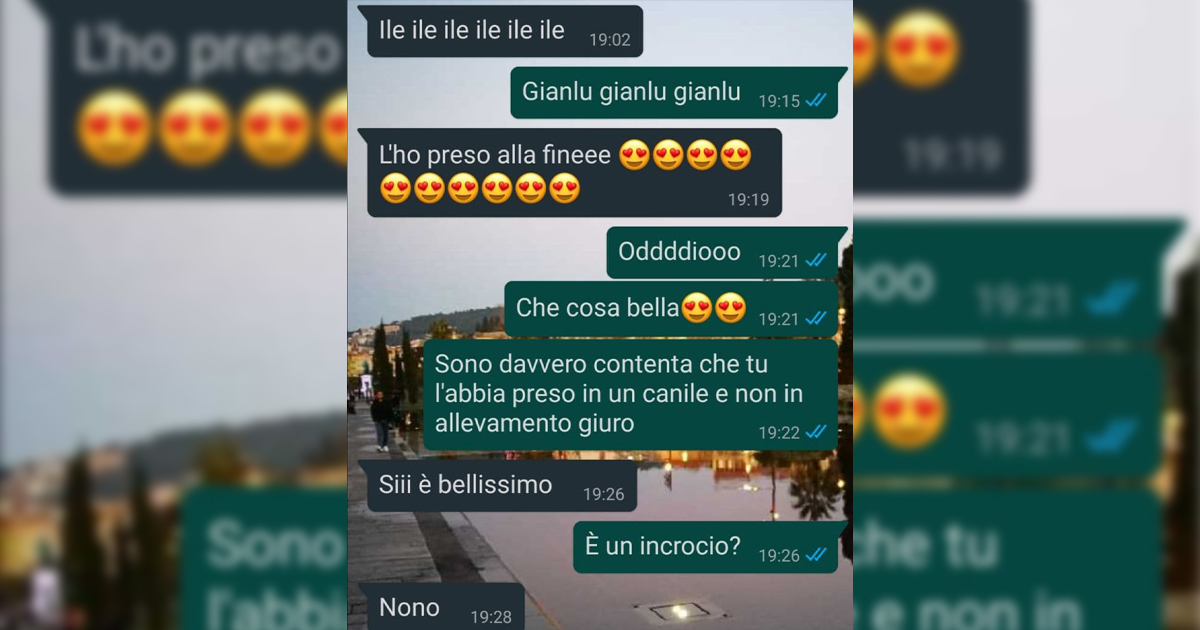 Ho adottato un cane al canile