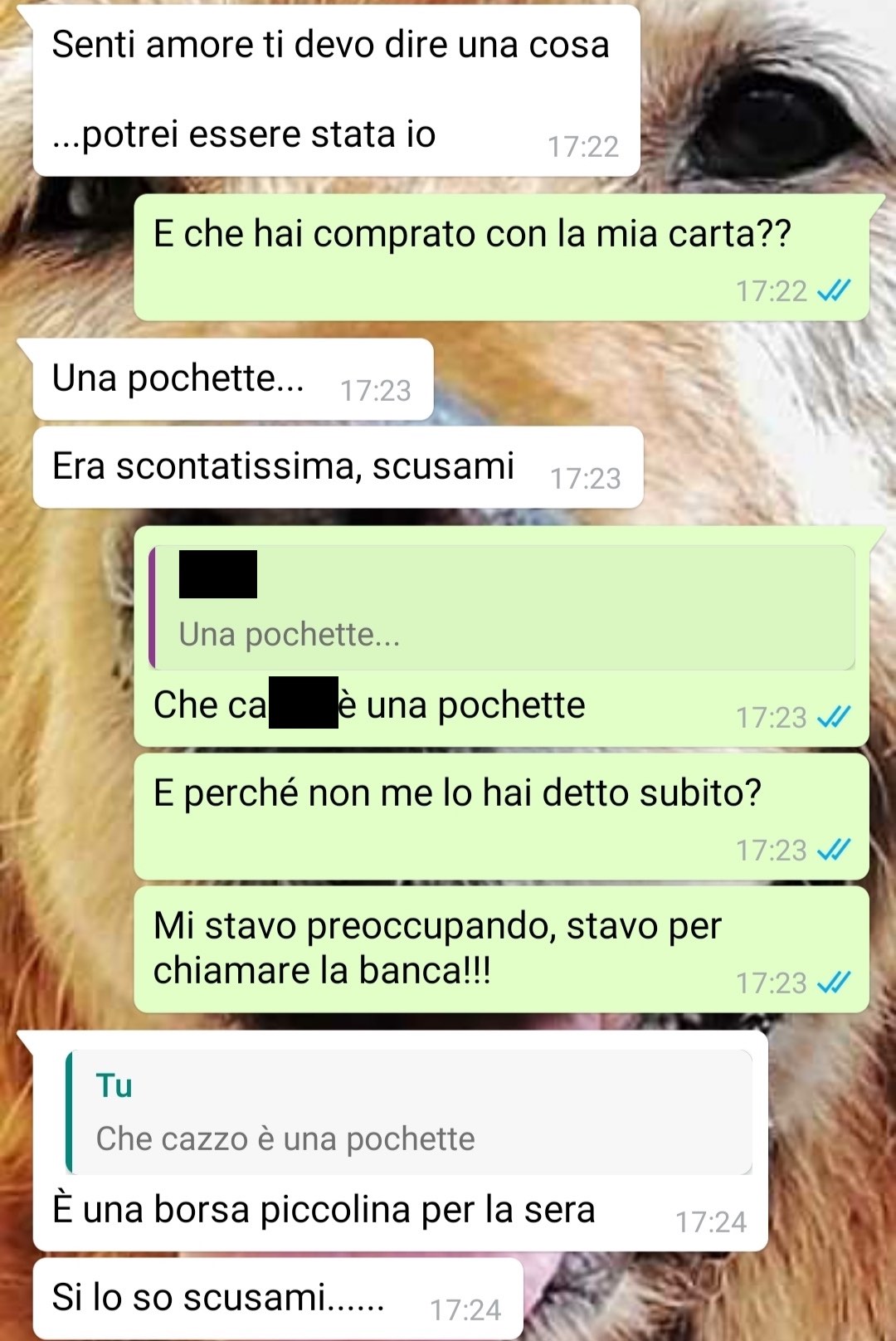 movimenti sul conto