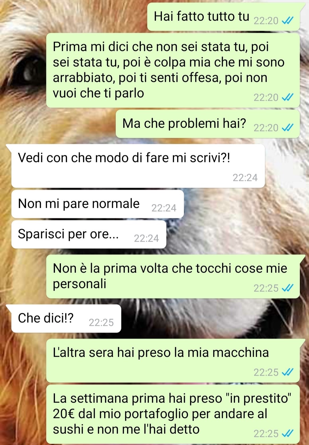 movimenti sul conto