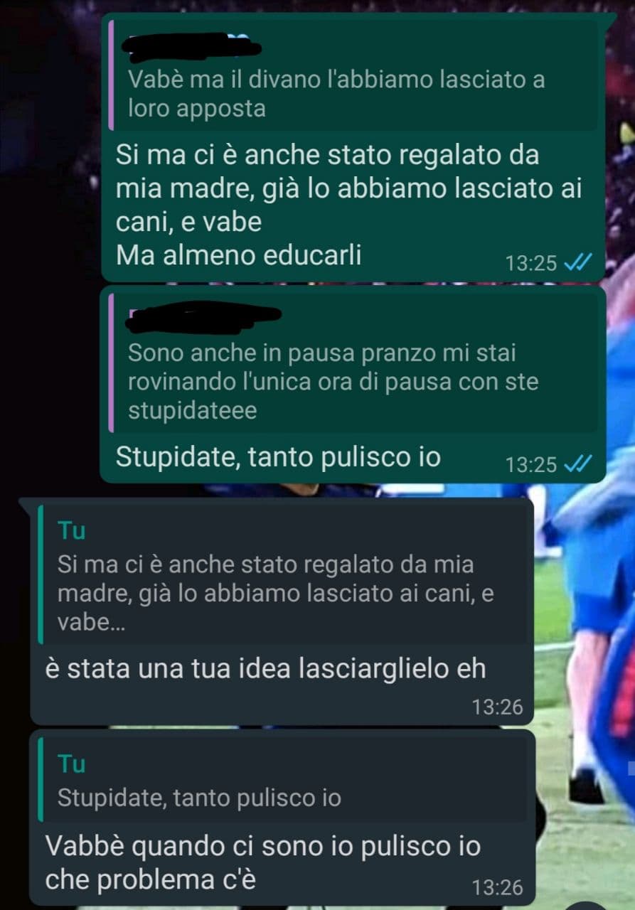 Cani disobbedienti