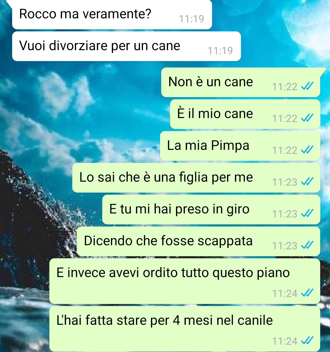 Il canile