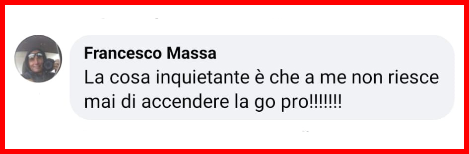 Orso trova una GoPro e si fa un selfie