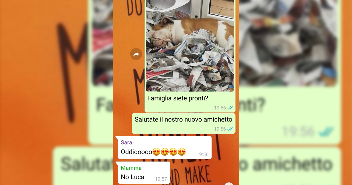 Un cane in famiglia