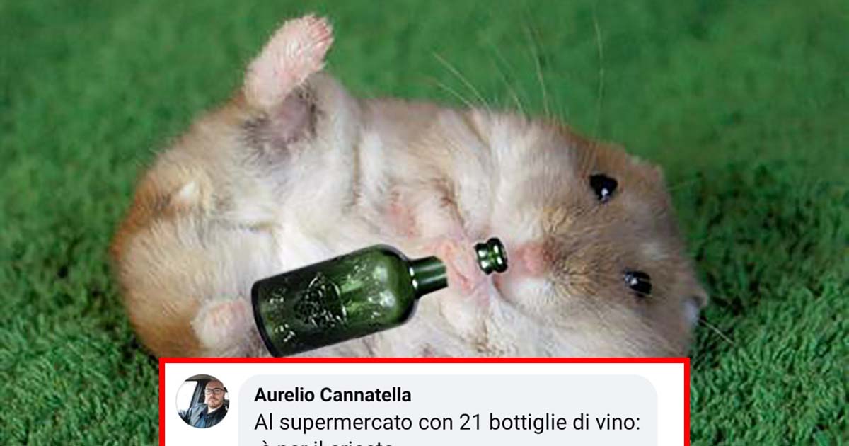 Criceti “beoni”: possono bere l’equivalente di 21 bottiglie di vino al giorno [+COMMENTI]