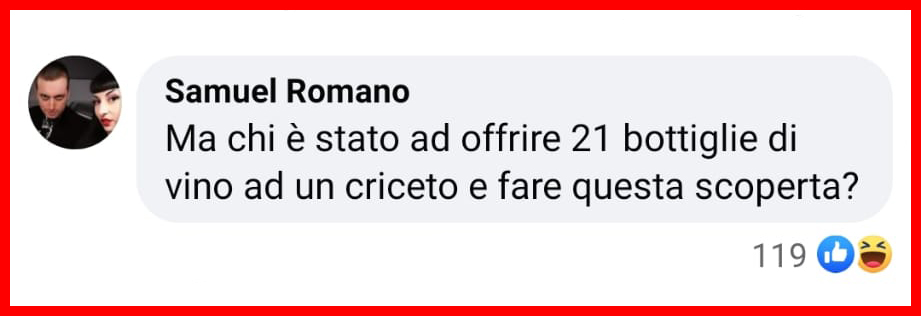 Criceti "beoni": possono bere l'equivalente di 21 bottiglie di vino al giorno [+COMMENTI]