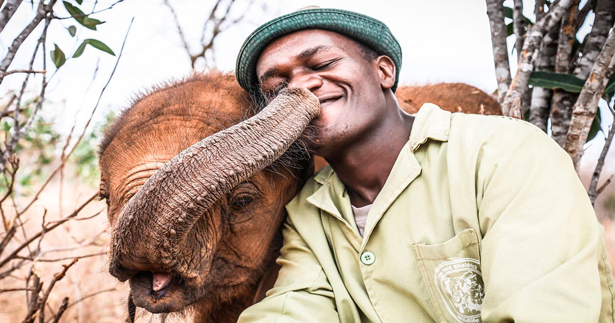 Elefantini orfani “scelgono” il ranger della riserva come loro papà