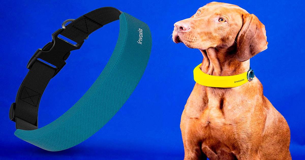 Anche il collare diventa HiTech: la nuova soluzione per “seguire” i passi e lo stato di salute del tuo cane