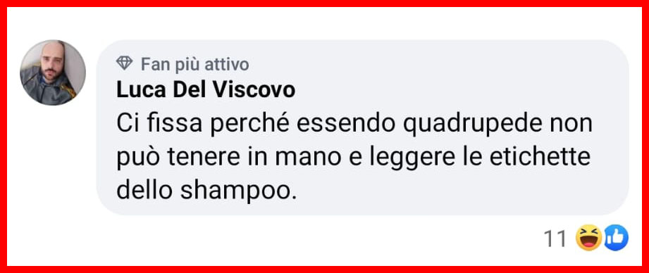 Il motivo per cui il tuo cane ti fissa mentre fa i suoi bisogni