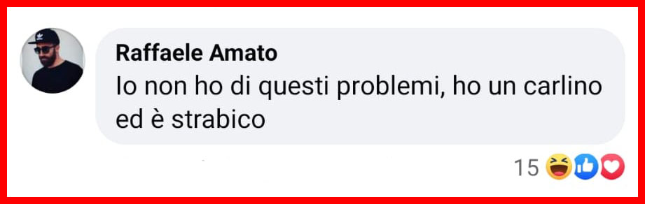 Il motivo per cui il tuo cane ti fissa mentre fa i suoi bisogni