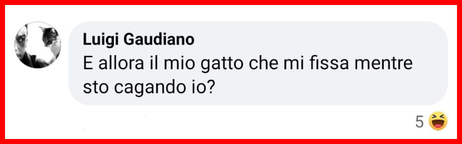 Il motivo per cui il tuo cane ti fissa mentre fa i suoi bisogni