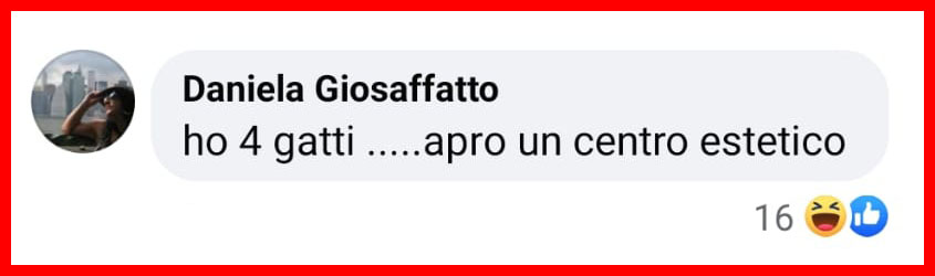 La ragazza che si fa curare l'acne dalla lingua del suo gatto [+COMMENTI]