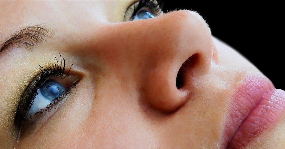 Perché il naso ha due narici? Risponde la scienza