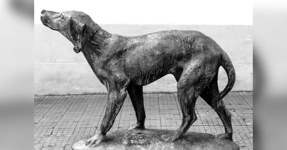 Chi era Fido? La storia del cane italiano più fedele del mondo [+VIDEO]