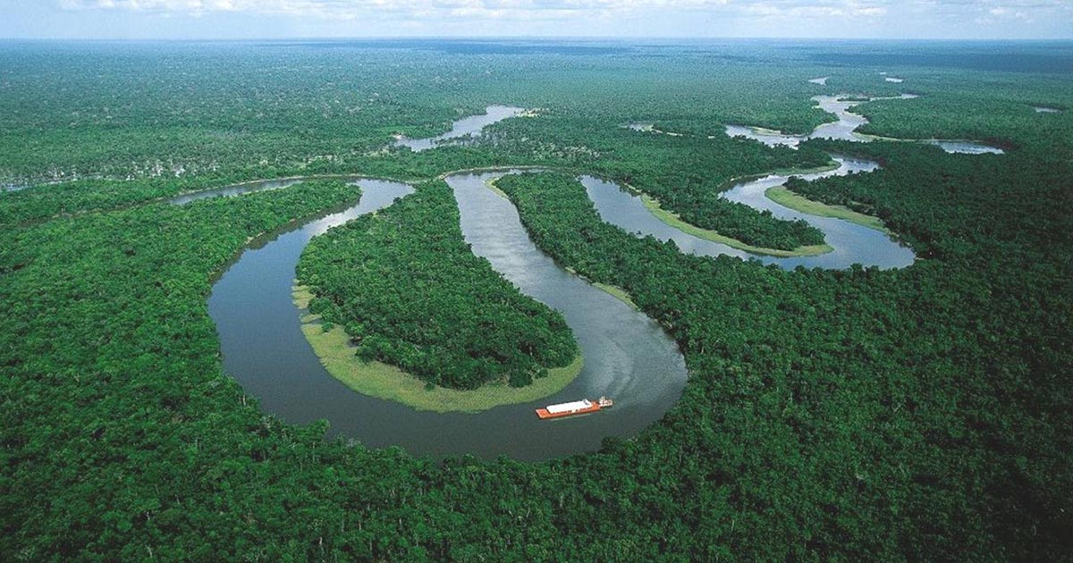 Perché il Rio delle Amazzoni non ha ponti?