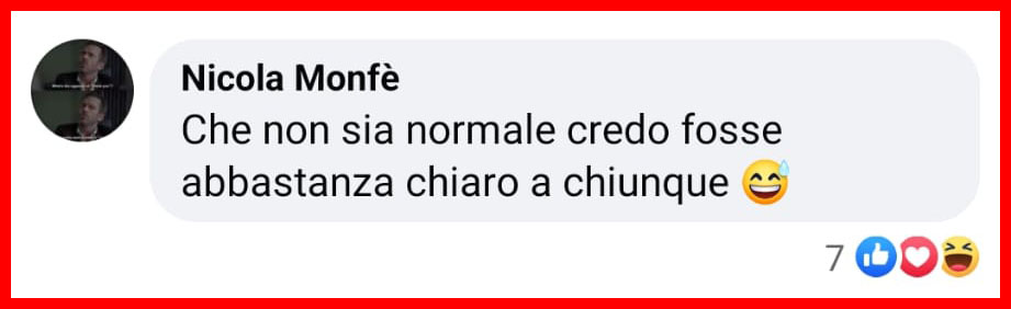 Il Carlino non è un cane "normale", secondo gli esperti [+COMMENTI]