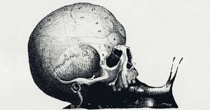 Illusione ottica: il primo dettaglio che vedi svela il lavoro dei tuoi sogni