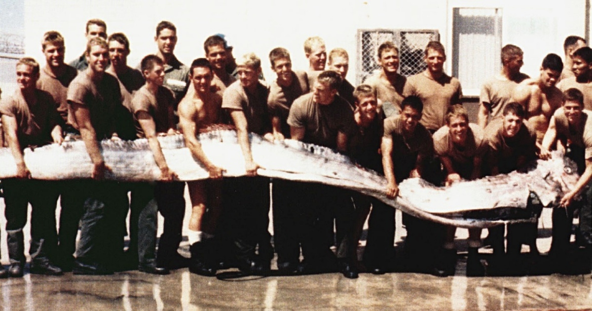 Gigantesche creature marine avrebbero “predetto” lo tsunami del Giappone del 2011