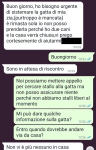 L'assurda e poco memorabile chat sulla gatta aggressiva