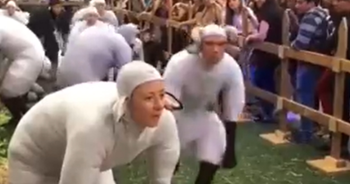 In uno strano festival le persone si vestono da pecore e fanno il verso “Bee bee”