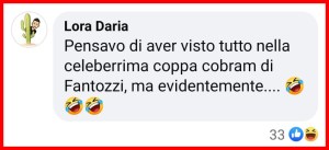 Gabbiano Mollema