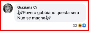 Gabbiano Mollema