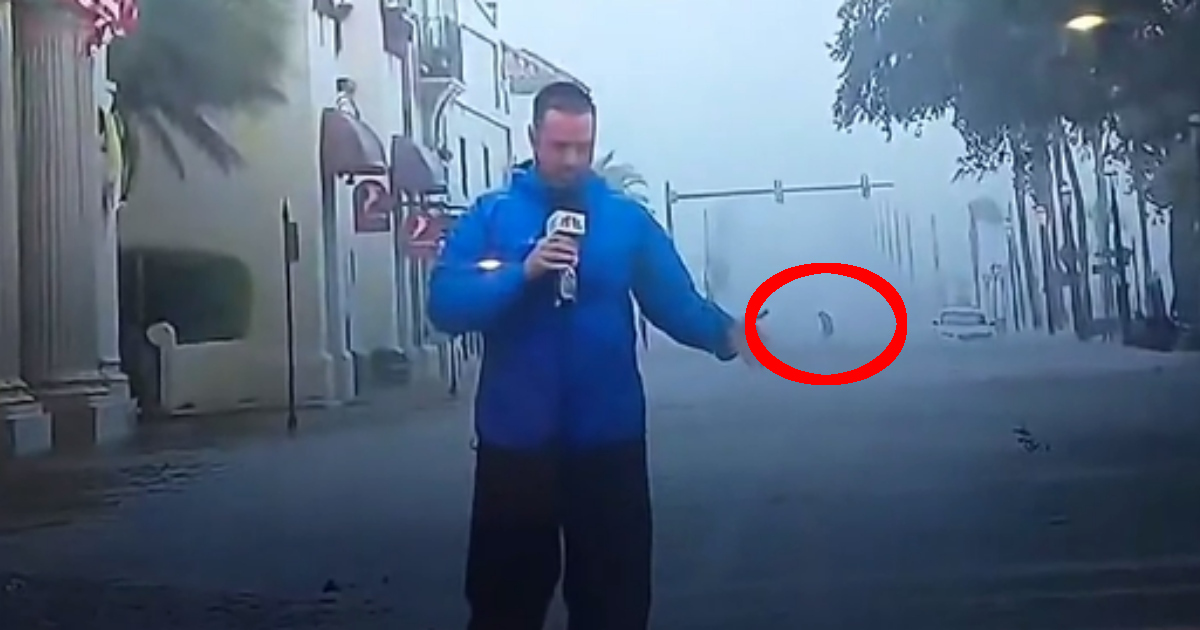 ‘Bigfoot’ avvistato mentre sfida le raffiche dell’uragano Ian durante un servizio meteo in diretta [+VIDEO]