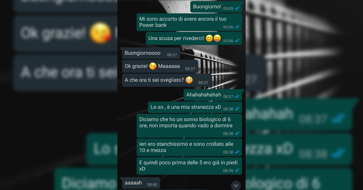 Il miausoleo