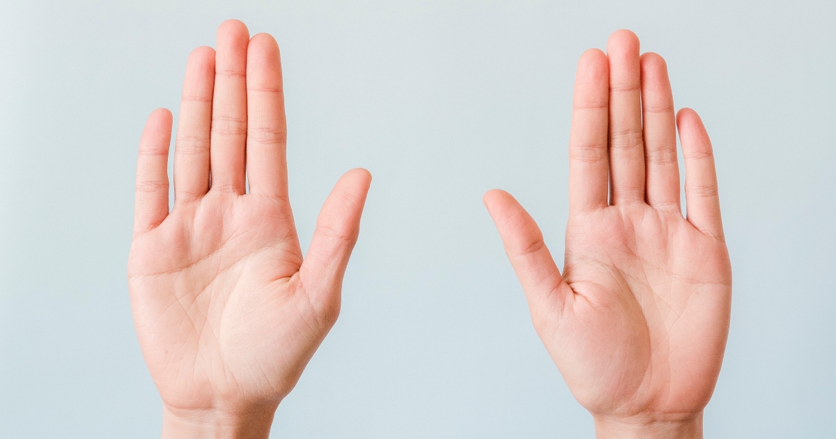 Le linee sui palmi delle mani possono rivelare personalità, carriera e vita sentimentale? [+VIDEO]