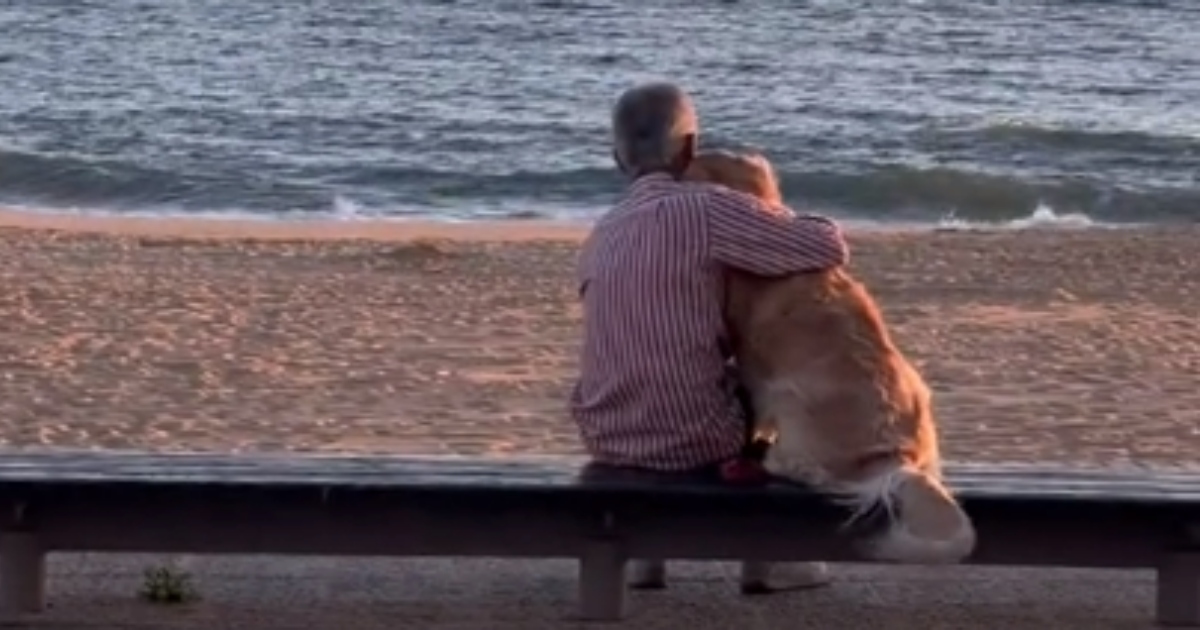 Il dolce video di un uomo che guarda il tramonto con il suo cane commuove il web [+VIDEO]