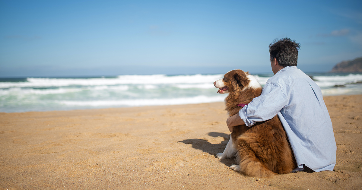 I cani avvertono l’odore dello stress nelle persone, lo dice uno studio