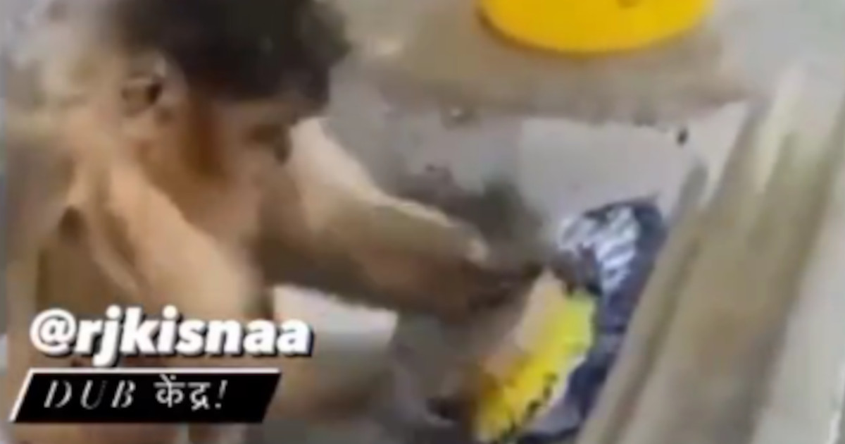 Scimmia “lavanderina” lava i vestiti con spazzola e sapone: il video è virale