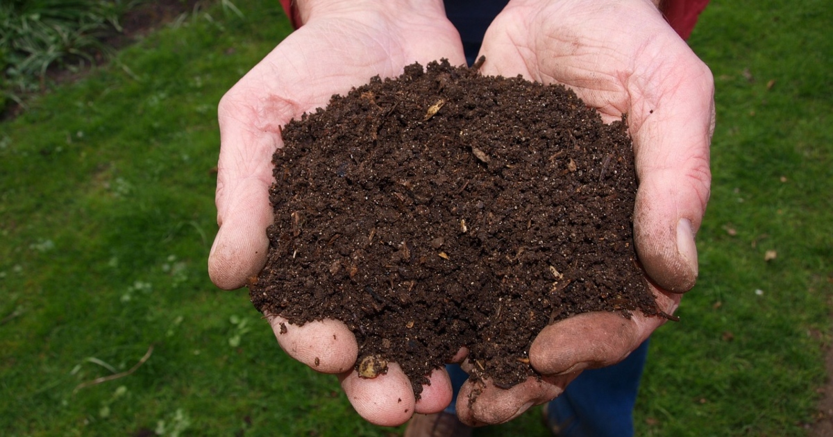 Arriva il compost umano per trasformare i defunti in concime