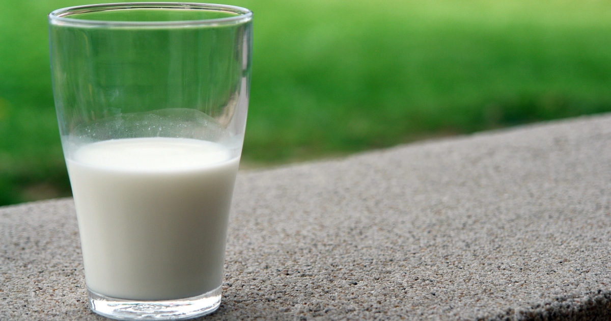 Arriva il latte vaccino sintetico prodotto senza mucche