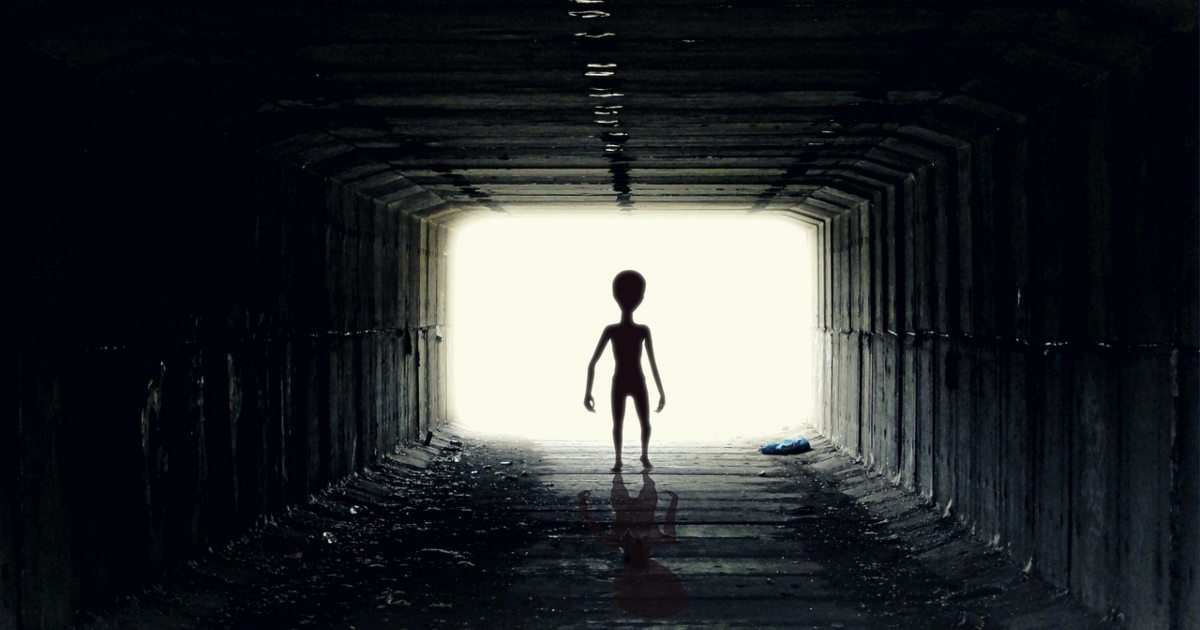 Viaggiatore del tempo avverte che un alieno chiamato “il Campione” si riprenderà la Terra nel 2023