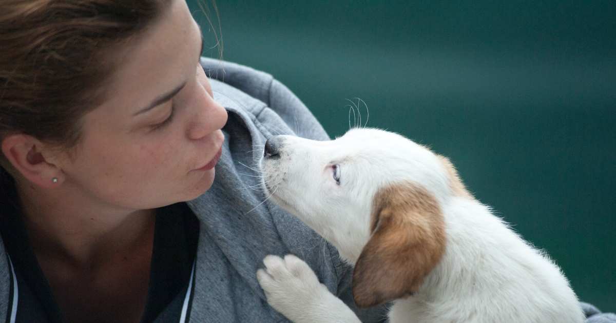 Chiede un giorno di permesso per riprendersi dalla scomparsa del cane: l’azienda rifiuta e lei si licenzia