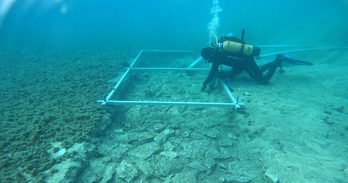 Strada sommersa di 7000 anni fa scoperta nel Mediterraneo [+VIDEO]
