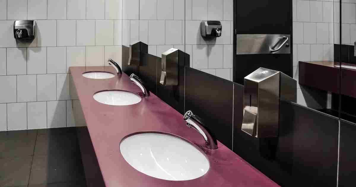 Ti sei mai chiesto quanti batteri vivono negli asciugamani elettrici dei bagni pubblici?