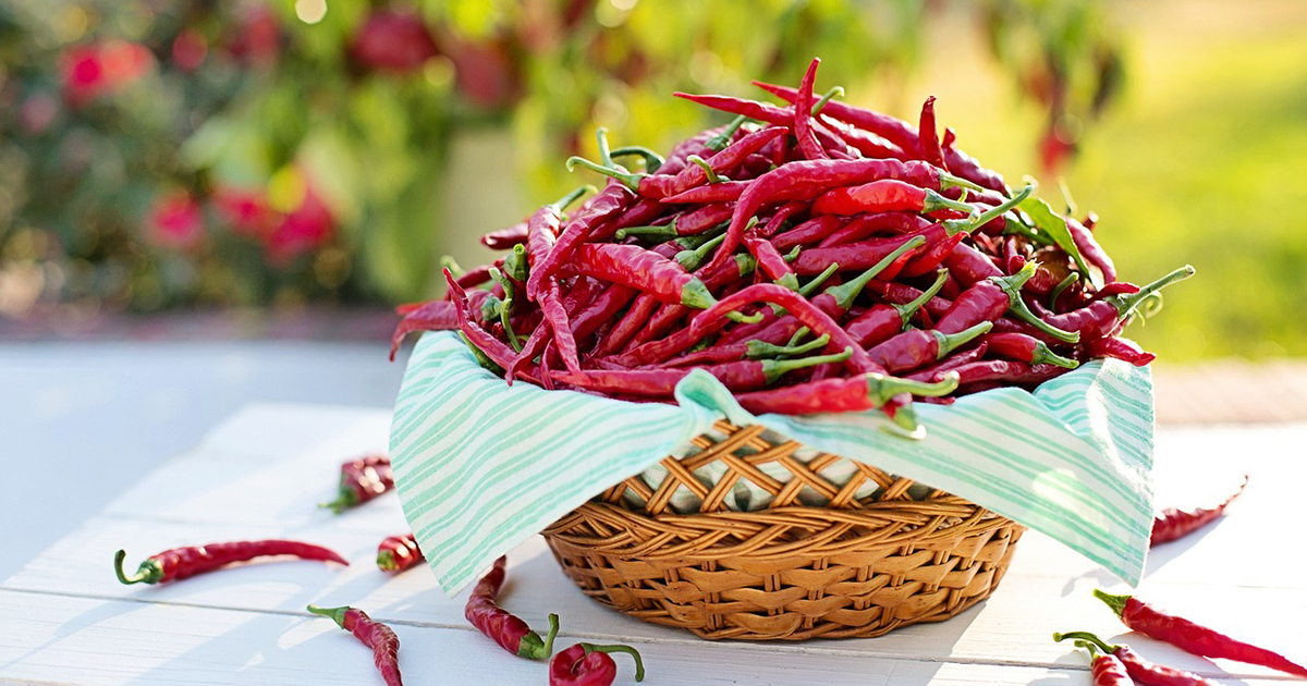 Perché a molte persone piace il cibo piccante?