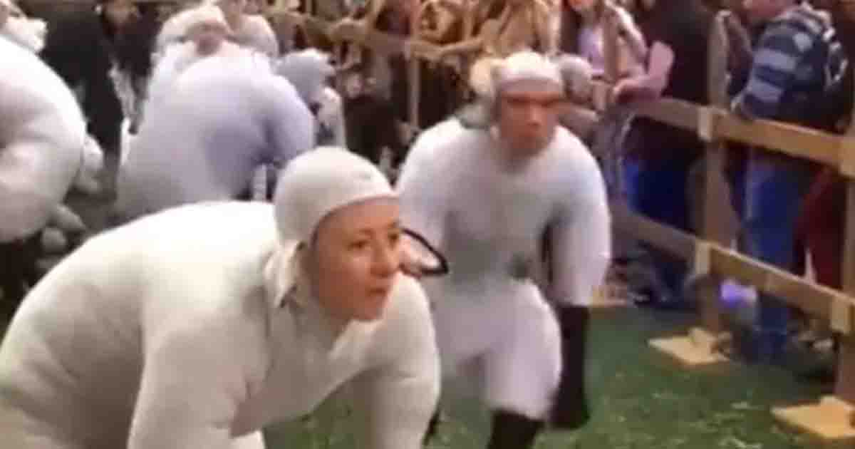 C’è un festival dove le persone si vestono da pecore e fanno il verso “Bee bee”